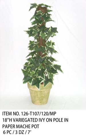 18"H VARIEGATED IVY ON POLE IN PAPER MACHE POT